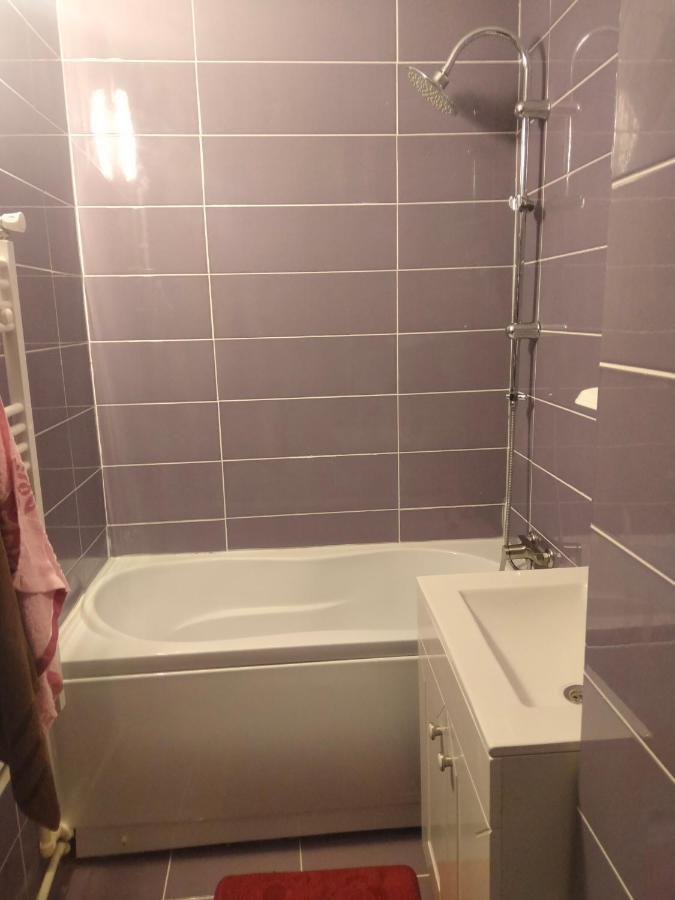 Apartament Geo Nehoiu Exteriér fotografie