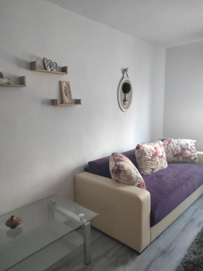 Apartament Geo Nehoiu Exteriér fotografie