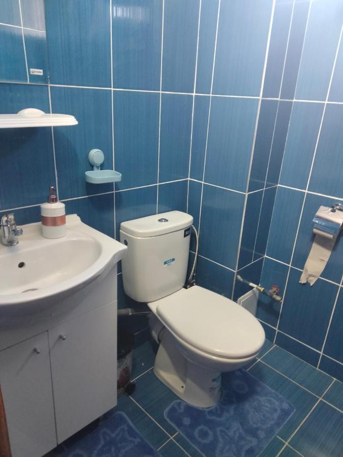 Apartament Geo Nehoiu Exteriér fotografie