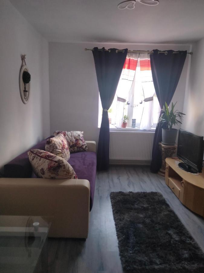 Apartament Geo Nehoiu Exteriér fotografie