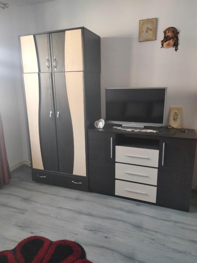 Apartament Geo Nehoiu Exteriér fotografie