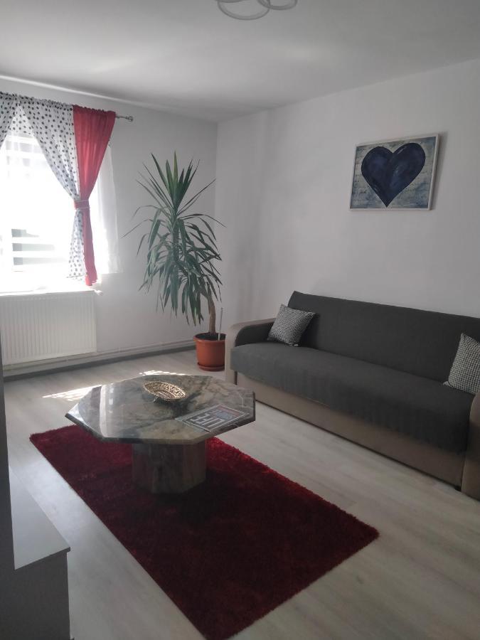 Apartament Geo Nehoiu Exteriér fotografie