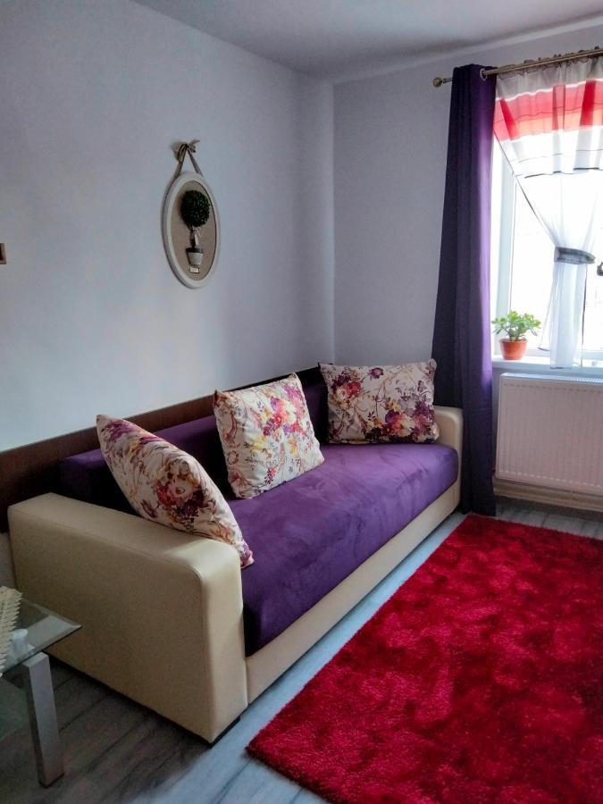 Apartament Geo Nehoiu Exteriér fotografie